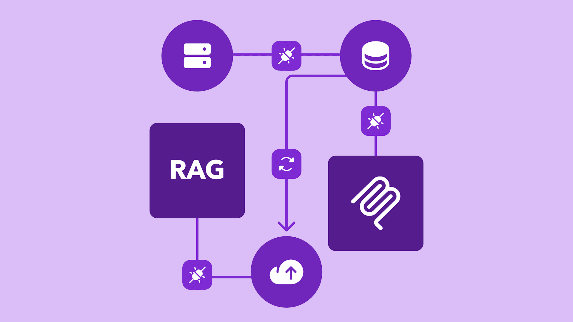 Kidney Transplant Medical RAG System